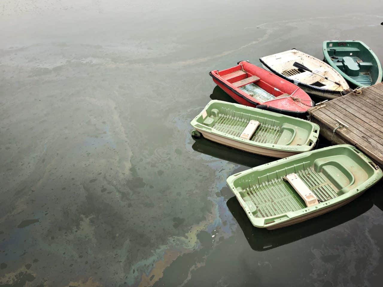 Sea Spills 11 sea oil spill cleanup is very suitable with AQUAQUICK 2000