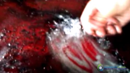 AQUAQUICK 2000 Cleaning Machinery parts and components 029