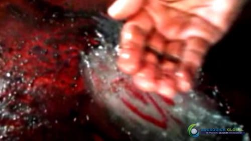 AQUAQUICK 2000 Cleaning Machinery parts and components 033