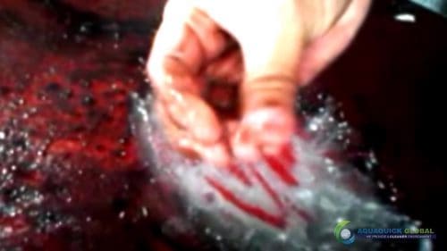 AQUAQUICK 2000 Cleaning Machinery parts and components 035