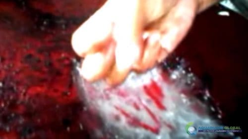 AQUAQUICK 2000 Cleaning Machinery parts and components 037