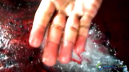 AQUAQUICK 2000 Cleaning Machinery parts and components 038