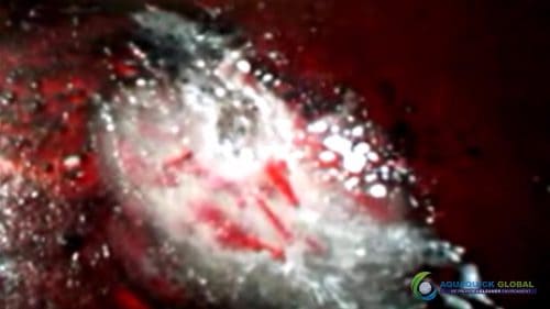 AQUAQUICK 2000 Cleaning Machinery parts and components 043