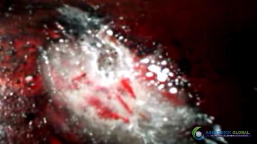 AQUAQUICK 2000 Cleaning Machinery parts and components 044