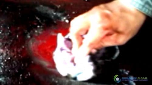 AQUAQUICK 2000 Cleaning Machinery parts and components 046