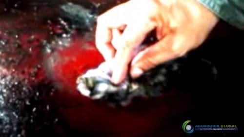 AQUAQUICK 2000 Cleaning Machinery parts and components 050