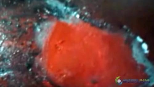 AQUAQUICK 2000 Cleaning Machinery parts and components 060