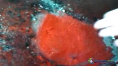 AQUAQUICK 2000 Cleaning Machinery parts and components 061