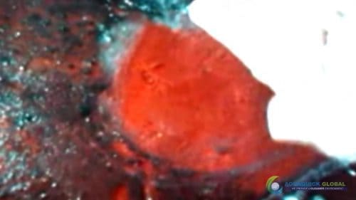 AQUAQUICK 2000 Cleaning Machinery parts and components 063