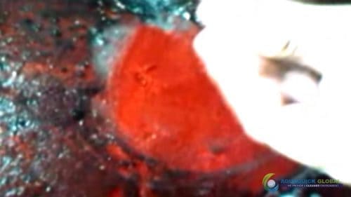 AQUAQUICK 2000 Cleaning Machinery parts and components 064