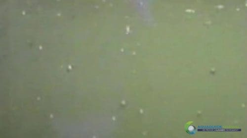 AQUAQUICK 2000 Lake Treatment 023