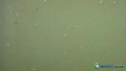 AQUAQUICK 2000 Lake Treatment 024