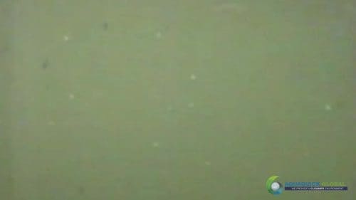 AQUAQUICK 2000 Lake Treatment 025