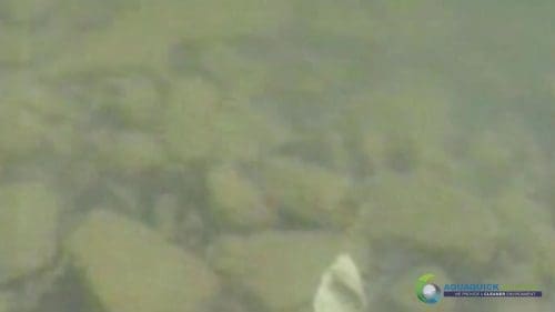 AQUAQUICK 2000 Lake Treatment 044