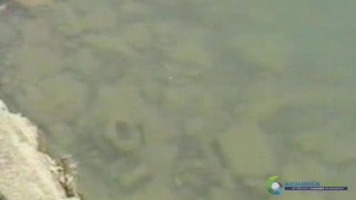 AQUAQUICK 2000 Lake Treatment 048