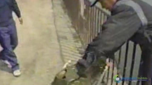 AQUAQUICK 2000 Lake Treatment 057