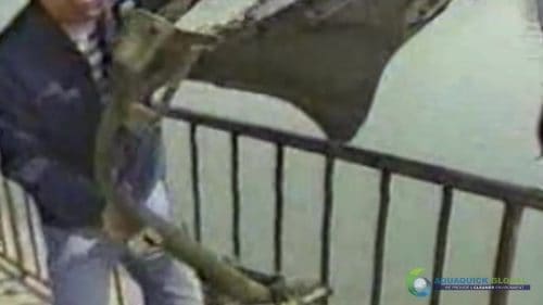 AQUAQUICK 2000 Lake Treatment 059