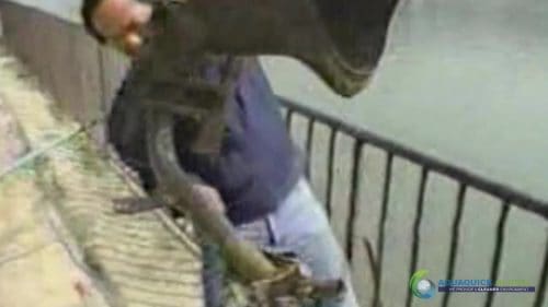 AQUAQUICK 2000 Lake Treatment 060