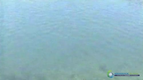 AQUAQUICK 2000 Lake Treatment 076