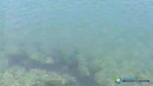 AQUAQUICK 2000 Lake Treatment 077