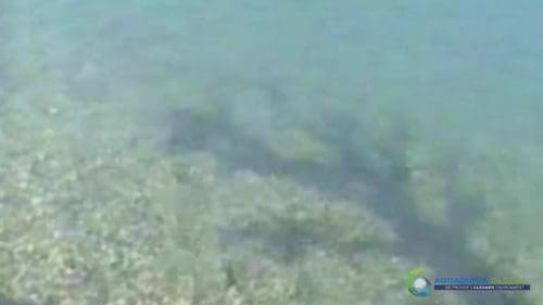 AQUAQUICK 2000 Lake Treatment 080