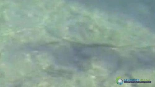 AQUAQUICK 2000 Lake Treatment 088