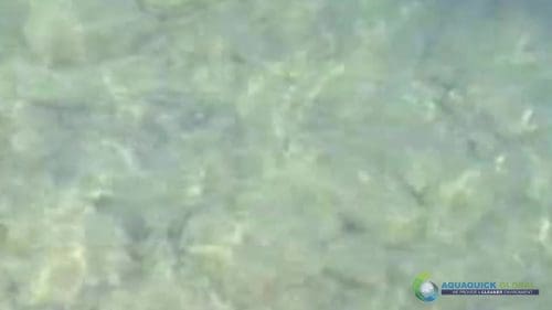 AQUAQUICK 2000 Lake Treatment 090