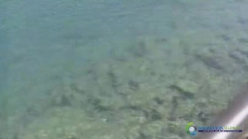 AQUAQUICK 2000 Lake Treatment 093