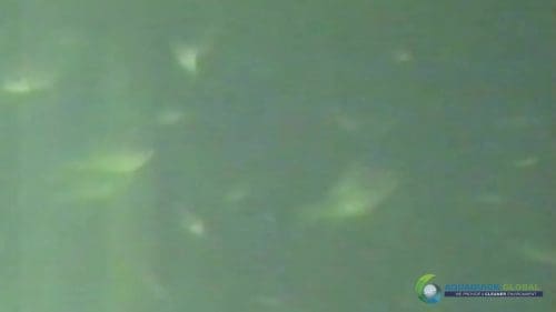 AQUAQUICK 2000 Lake Treatment 104