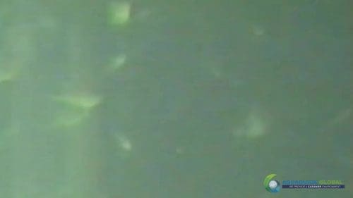 AQUAQUICK 2000 Lake Treatment 105