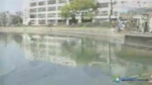 AQUAQUICK 2000 Lake Treatment 109