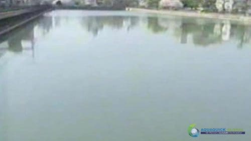 AQUAQUICK 2000 Lake Treatment 116