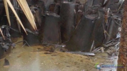 AQUAQUICK 2000 Oil Spill in Nipa Palm Plantation 17