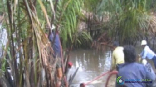 AQUAQUICK 2000 Oil Spill in Nipa Palm Plantation 19