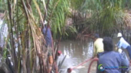 AQUAQUICK 2000 Oil Spill in Nipa Palm Plantation 20