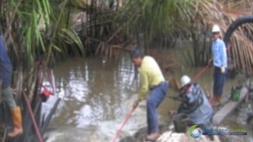 AQUAQUICK 2000 Oil Spill in Nipa Palm Plantation 24
