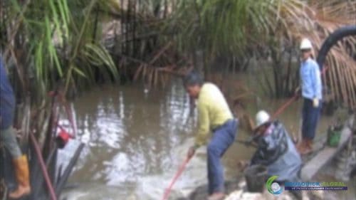 AQUAQUICK 2000 Oil Spill in Nipa Palm Plantation 25