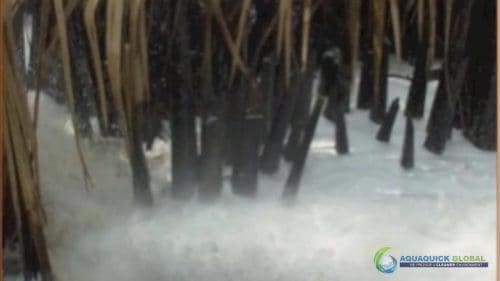 AQUAQUICK 2000 Oil Spill in Nipa Palm Plantation 30