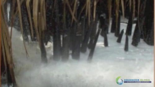 AQUAQUICK 2000 Oil Spill in Nipa Palm Plantation 31