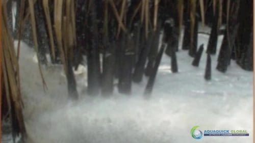AQUAQUICK 2000 Oil Spill in Nipa Palm Plantation 33