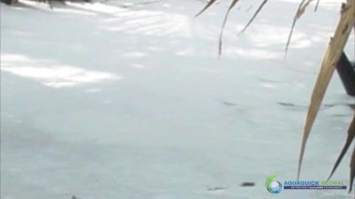 AQUAQUICK 2000 Oil Spill in Nipa Palm Plantation 39