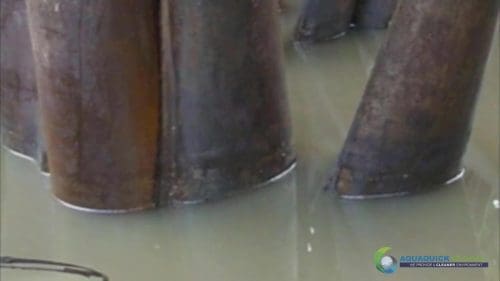 AQUAQUICK 2000 Oil Spill in Nipa Palm Plantation 43