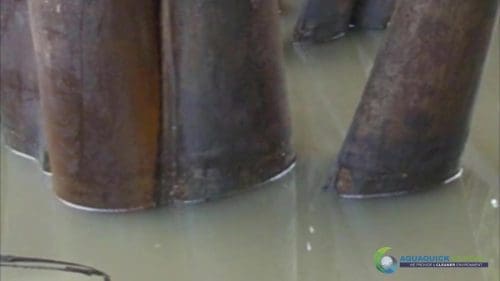 AQUAQUICK 2000 Oil Spill in Nipa Palm Plantation 44