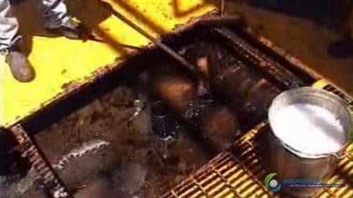 AQUAQUICK 2000 Oil spill maintenance cleanup on Rig and Deck 36