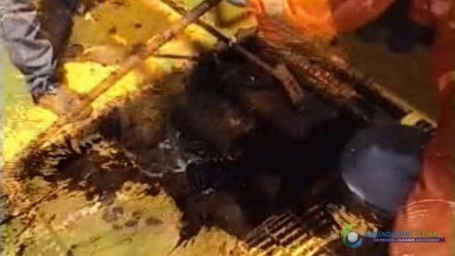 AQUAQUICK 2000 Oil spill maintenance cleanup on Rig and Deck 54