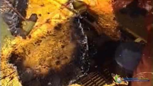 AQUAQUICK 2000 Oil spill maintenance cleanup on Rig and Deck 55