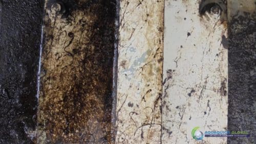 AQUAQUICK 2000 Petronas Melaka Bakım Temizliği 049