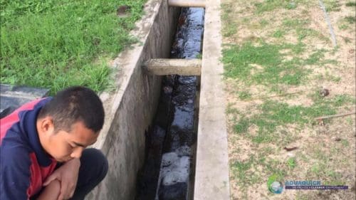 AQUAQUICK 2000 Pulau Tioman Oil Spill Cleanup 29