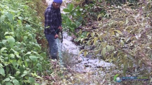 AQUAQUICK 2000 Pulau Tioman Oil Spill Cleanup 47