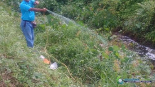 AQUAQUICK 2000 Pulau Tioman Oil Spill Cleanup 63